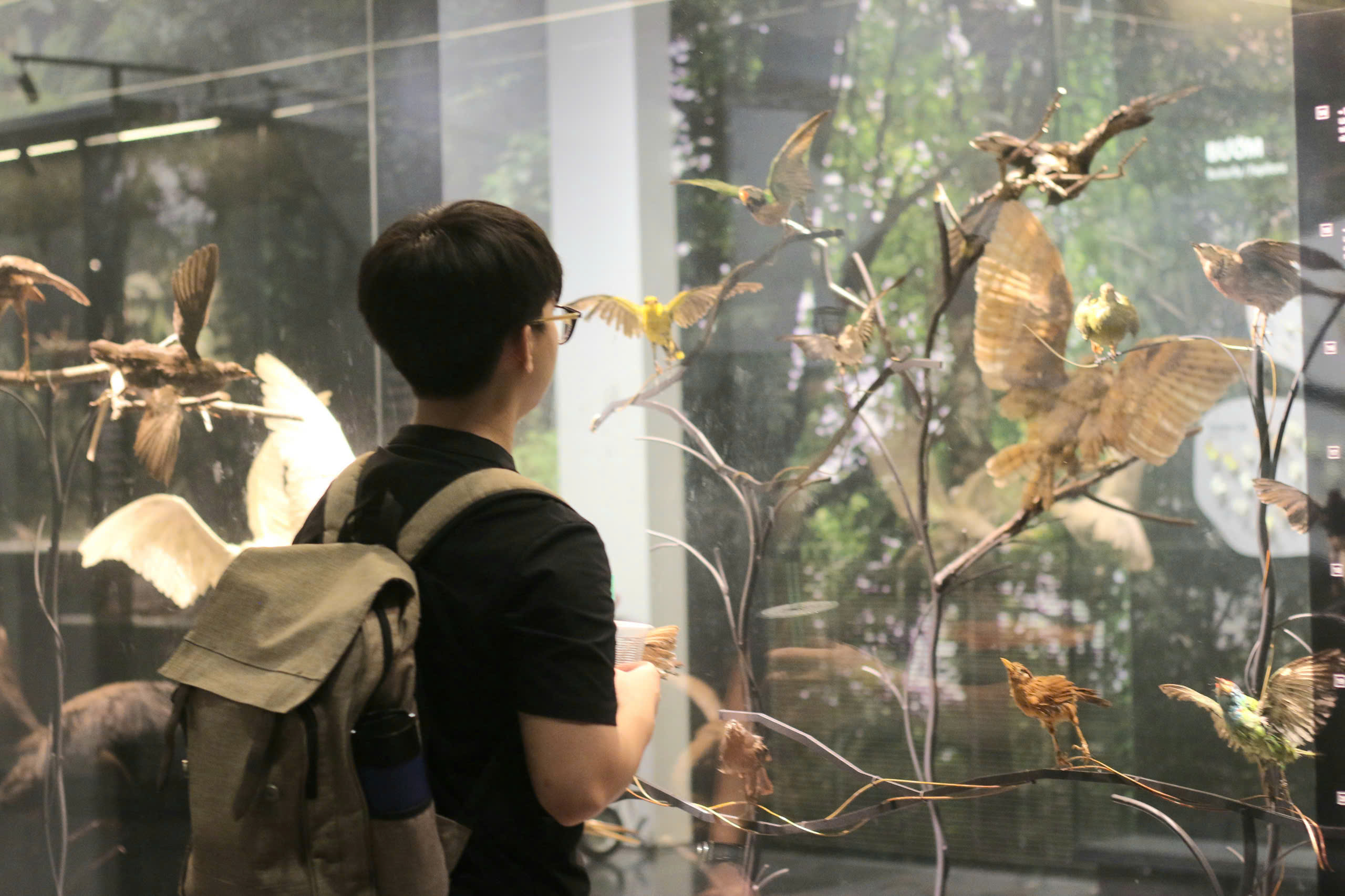 Làm Gì Để Vượt Qua Sóng Gió: "Không Phải Là Hỏi Gió Mà Là Hỏi Mình : )"